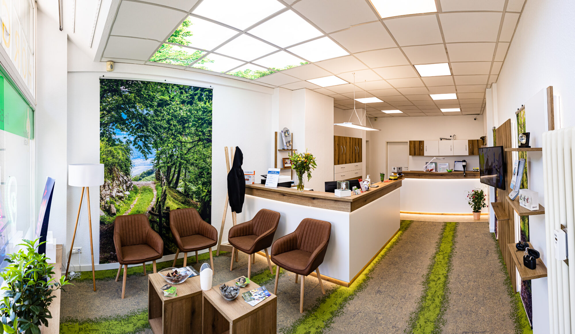 Der Laden Doktor Akustik in Radebeul