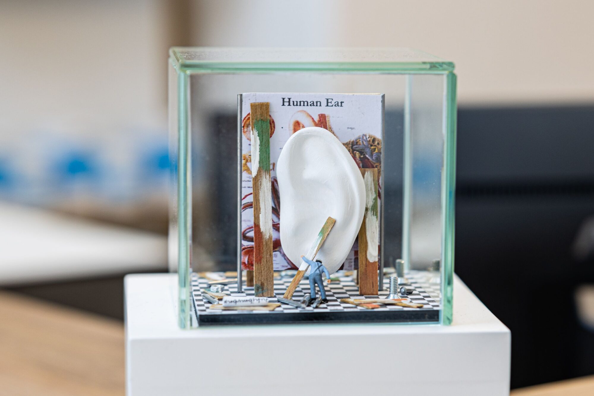 Ohrmodell Doktor Akustik in einer Plexiglasvitrine Diorama